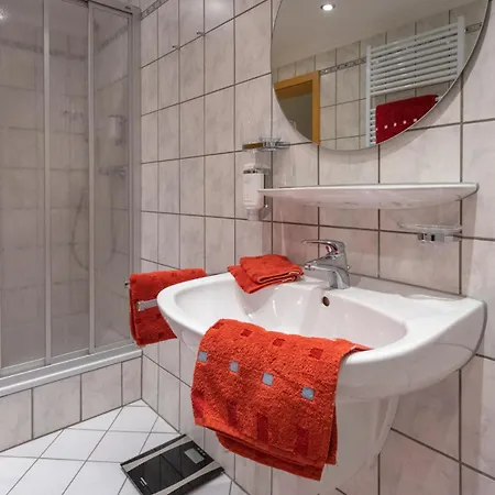 Alte Gerberei * Bacharach