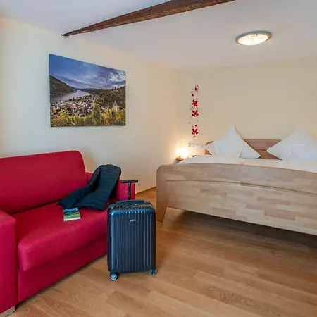 Alte Gerberei * Bacharach