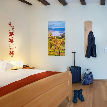 Apartment Alte Gerberei Bacharach