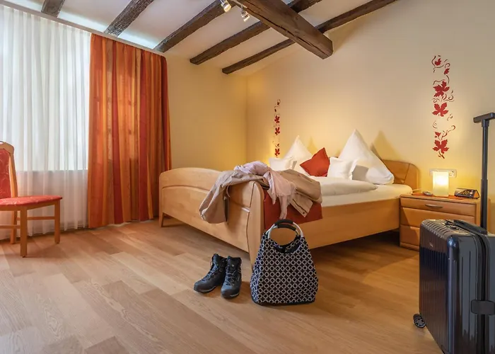 Alte Gerberei Bacharach