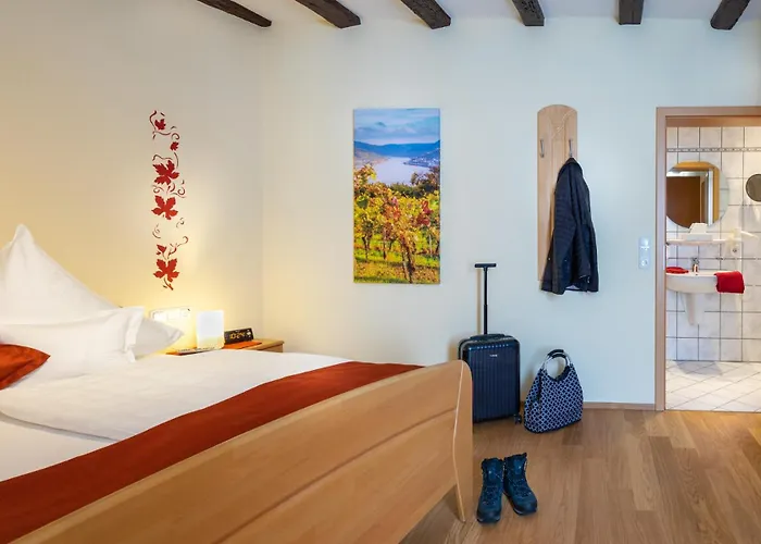 Apartamento Alte Gerberei Bacharach